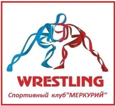 Вольная борьба