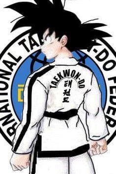 Таеквон-до для детей и взрослых, кикбоксинг, танцы