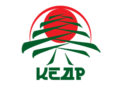 Набор в секцию каратэ